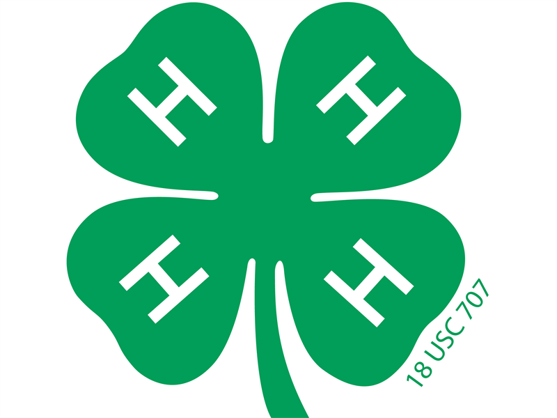 Logo for 2026 Mason County 4-H Show