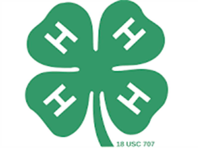 Logo for 2026 Custer County Fair